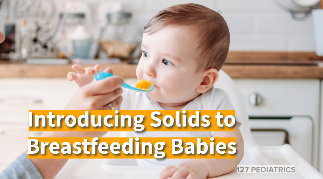 introducing solids to breastfeeding babies